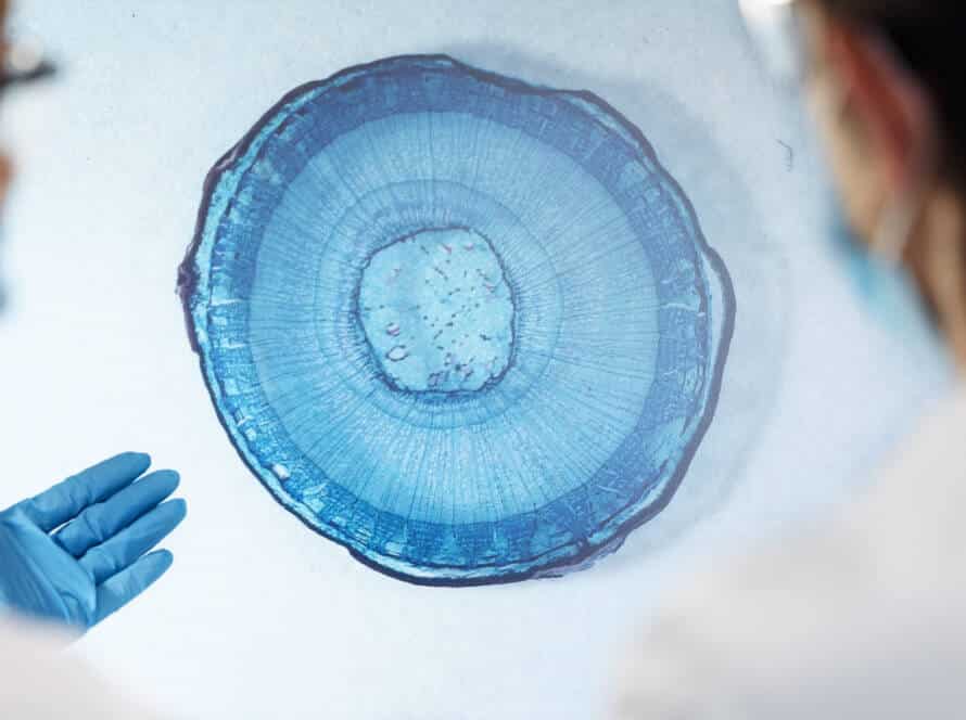 bacteria-particles-and-closeup-in-lab-for-science